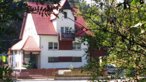 Domlesny, Sól